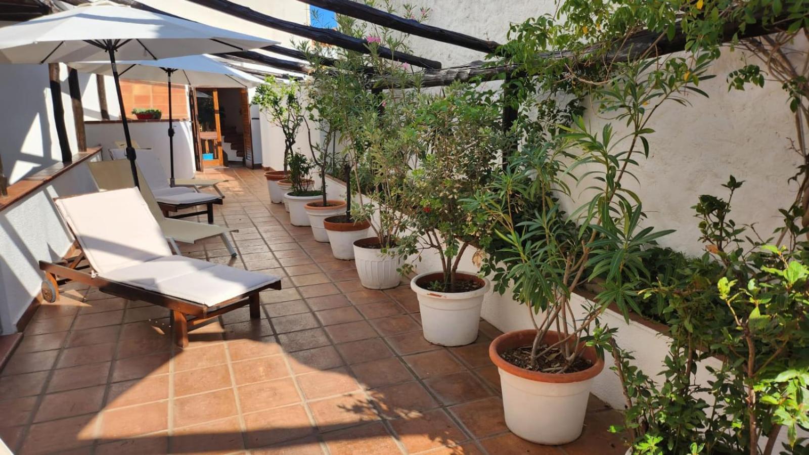 קאלה גונונה Hotel Pop מראה חיצוני תמונה